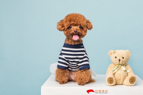 疫情期間香港商品如何轉運到湖北隨州呢？